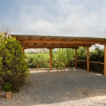 Asso Di Picche Siena